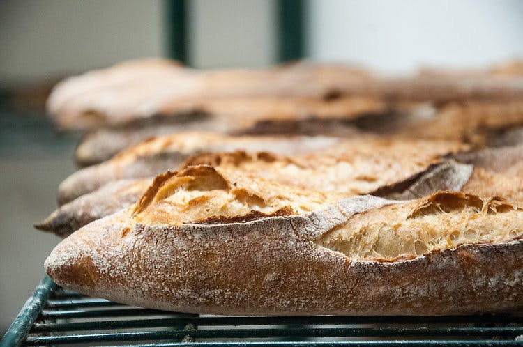 a close up of a piece of bread